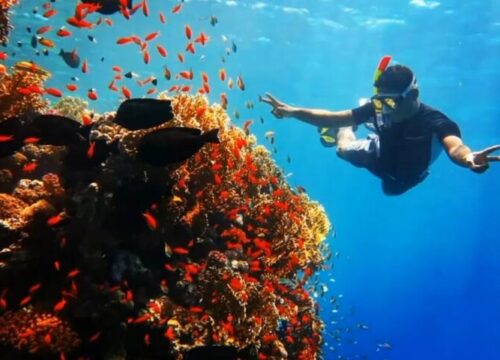Insula Orange din Hurghada